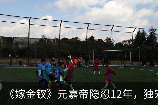 《嫁金钗》元嘉帝隐忍12年，独宠周芙，前尘旧爱让人唏嘘