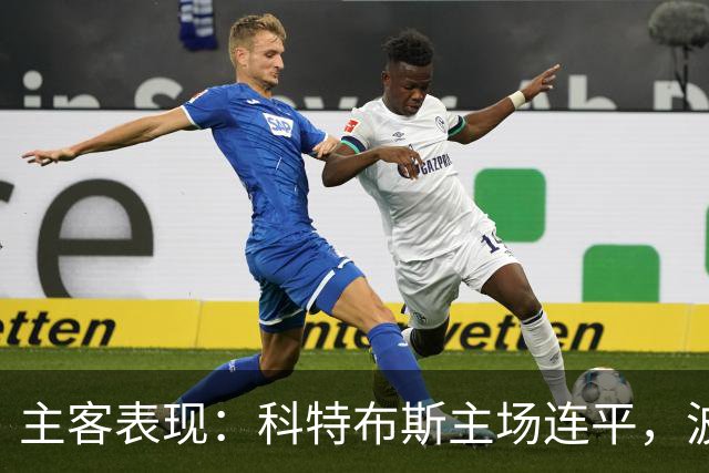主客表现：科特布斯主场连平，波鸿客场近况转弱
