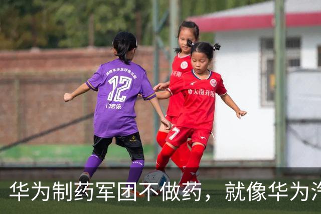 华为制药军团不做药，就像华为汽车军团不造车