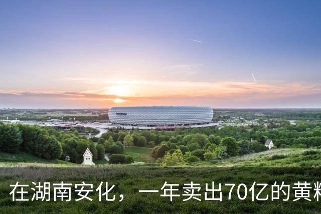 在湖南安化，一年卖出70亿的黄精，到底哪些人在买