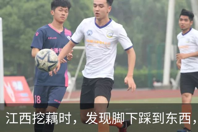 江西挖藕时，发现脚下踩到东西，众人合力将其挖出后全都傻眼