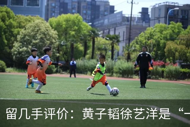 留几手评价：黄子韬徐艺洋是“一对戏精网红”