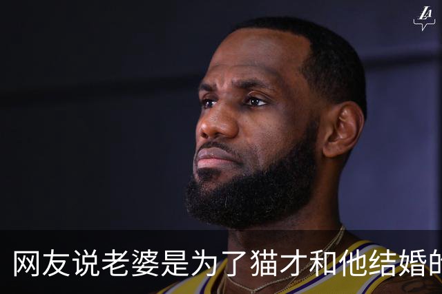 网友说老婆是为了猫才和他结婚的，本来不信，直到看他晒出的聊天记录