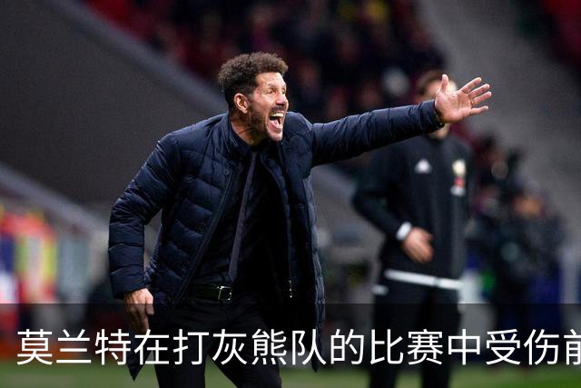 莫兰特在打灰熊队的比赛中受伤前，还带着几分挑衅和垃圾话的劲头