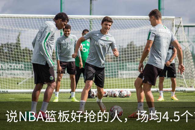 说NBA篮板好抢的人，场均4.5个前板排第4