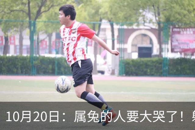 10月20日：属兔的人要大哭了！躲不掉！这都是老天爷的安排