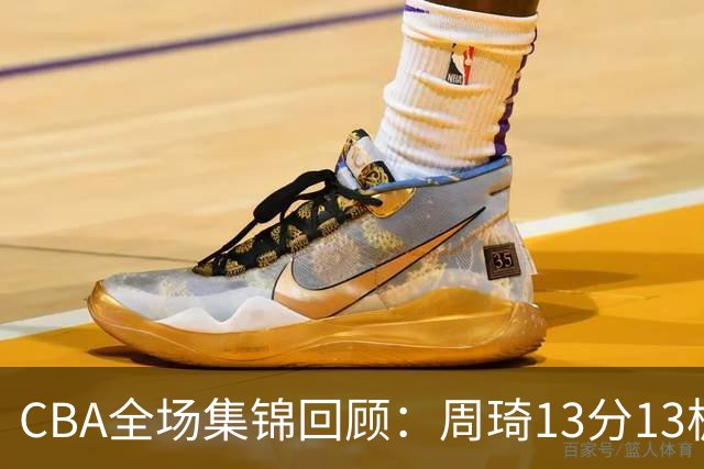 CBA全场集锦回顾：周琦13分13板，北京力克山东